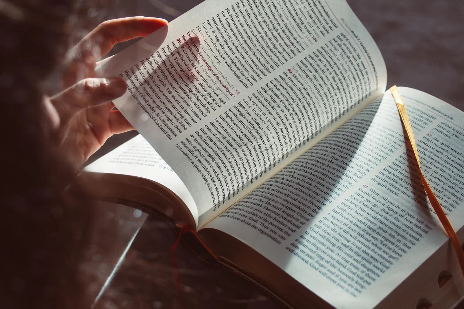 A person's hand holds open a book, possibly a Bible, with printed text visible on both pages and warm sunlight illuminating the pages.